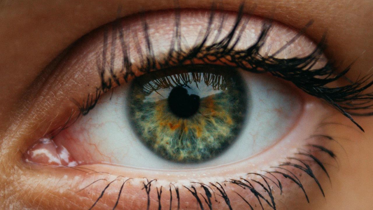 El nutriente antioxidante que cuida la salud de los ojos y previene cataratas